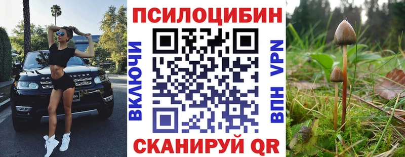 Галлюциногенные грибы ЛСД  Купить закладки  Соль-Илецк 