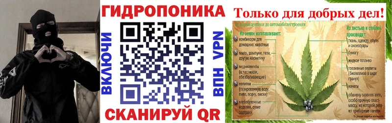 Конопля конопля Соль-Илецк